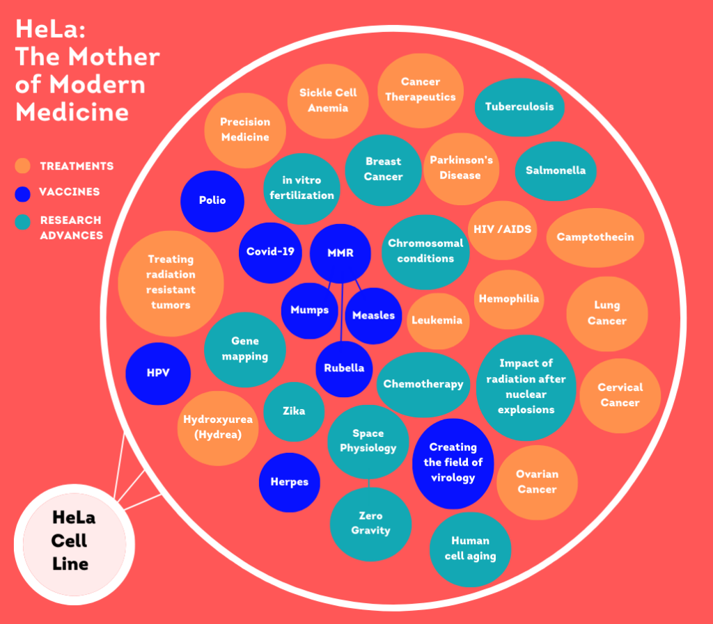 HeLa Data Viz on a soft read background.