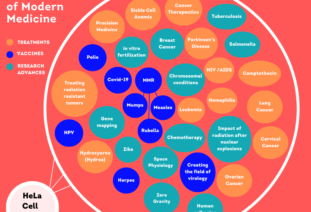HeLa Data Viz on a soft read background.